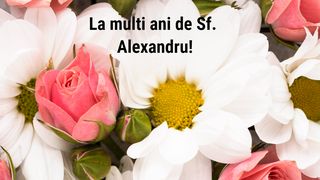 Mesaje de Sf. Alexandru 2024