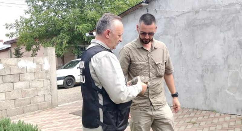 broasca testoasa, garda de mediu, suceava 