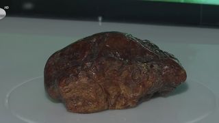 VIDEO Buzăul este în Cartea Recordurilor cu cea mai mare bucată de chihlimbar