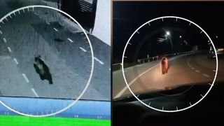 VIDEO Alertă &icirc;n Bistrița-Năsăud: urșii sunt pe străzi! Animalele aleargă fără griji printre mașinile oamenilor