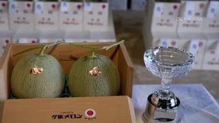 VIDEO Pepenele care se vinde cu 50.000 de dolari! De ce costă atât de mult