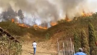 VIDEO Neputincioși în fața incendiilor uriașe. România este cuprinsă de flăcări, iar autoritățile iau în calcul ipoteza șocantă ca focul să fi fost pus intenționat