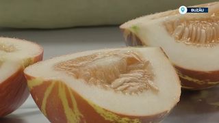 VIDEO Kajari melon - pepenele cu gust de &icirc;nghețată cu vanilie