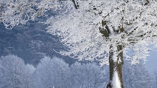 Prognoza meteo pentru la iarnă: Meteorologii anunță cum va fi vremea în decembrie 2024, ianuarie 2025 și februarie 2025