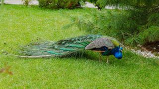 S&acirc;mbătă, de la ora 14:45, &icirc;n &rdquo;ROventura&rdquo;: O călătorie fascinantă la Crișan, &icirc;n minunata Delta Dunării