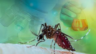 Un pacient infectat cu virusul West Nile a murit! Este al treilea deces din Suceava