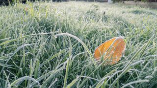 VIDEO Temperaturi cu minus, la început de septembrie, în România! Unde a dat înghețul și cum se anunță vremea în această săptămână