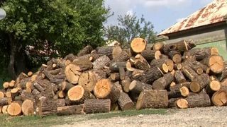 VIDEO &bdquo;Oamenii gospodari așa fac&rdquo;. Pregătiri de iarnă: coceni și lemne pentru sobe