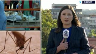 VIDEO West Nile a făcut o nouă victimă! Numărul deceselor din cauza virusului a ajuns la patru
