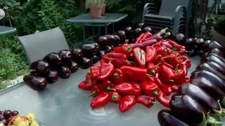 VIDEO &bdquo;Mă duc direct la producător să iau aceste legume&rdquo;. Ospăț de toamnă acasă la Marius Marinescu