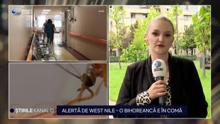 VIDEO Virusul West Nile continuă să facă victime. O femeie din Bihor e &icirc;n comă