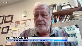 Taipanul de interior este considerat cel mai veninos șarpe din lume 