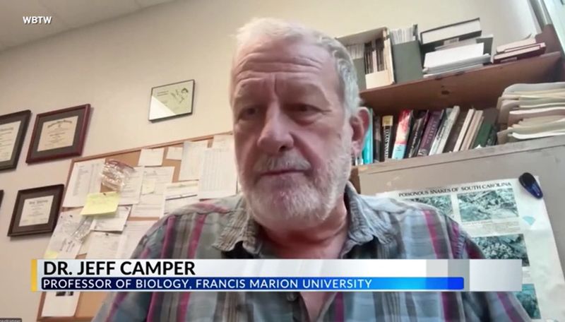 Taipanul de interior este considerat cel mai veninos șarpe din lume 