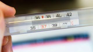 febra, sosete, raceala, gripa, remedii babesti 