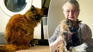 Rosie, cea mai bătrână pisică din lume, alături de stăpâna ei