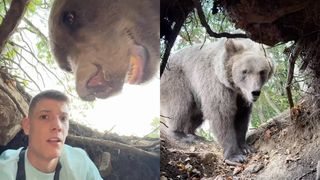 VIDEO Un influencer s&acirc;rb s-a filmat &icirc;n b&acirc;rlogul ursului c&acirc;nd bestia a ajuns acasă. "Nu o să crezi ce s-a &icirc;nt&acirc;mplat&rdquo;
