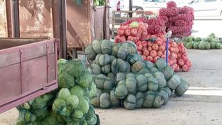 VIDEO Varza de Lungulețu, mai puțină și mai scumpă