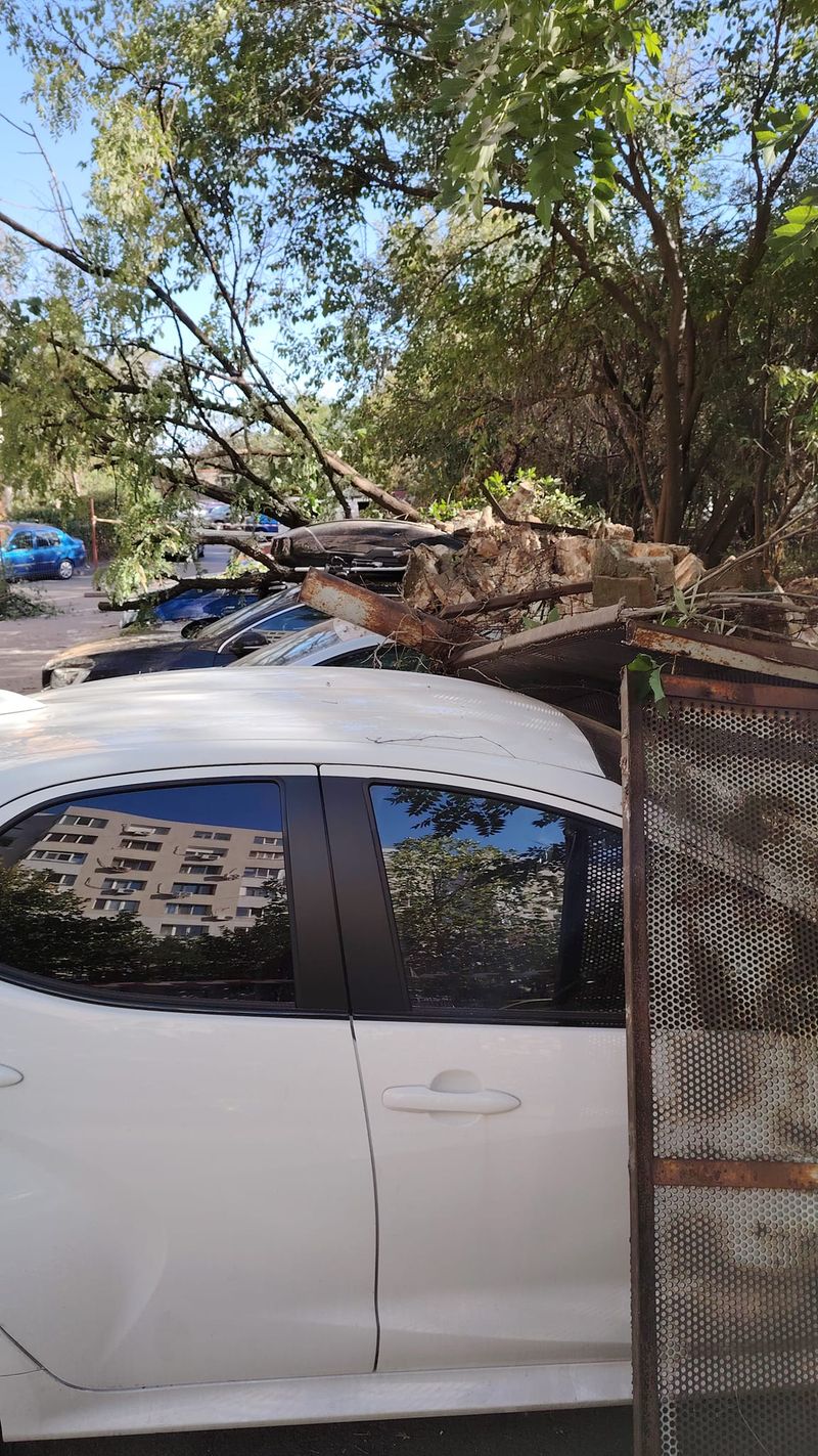 masini lovite, conacul dudesti, zid prabusit 