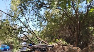 masini lovite, conacul dudesti, zid prabusit 