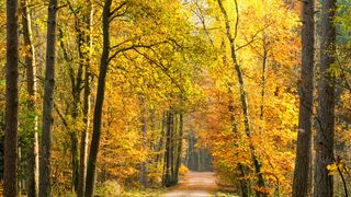 Echinocțiul de toamnă