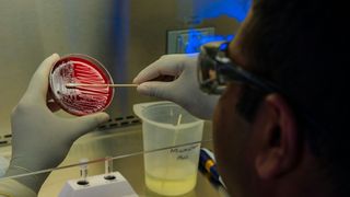 bacterii, boli, oameni morti 