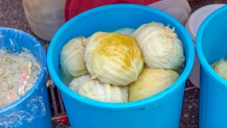 Când se pune varza la murat?