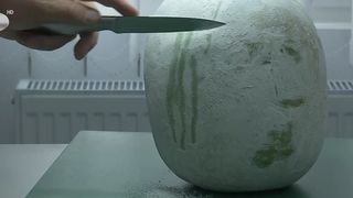 VIDEO „Vorbim despre o specie nouă, aclimatizată”. „Pepenele de iarnă”, mândria cercetătorilor buzoieni