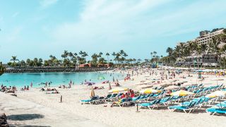 atac rechin, insulele canare, femeie ucisa 