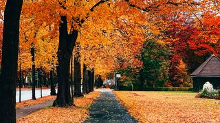 Cum va fi vremea &icirc;n luna octombrie. Prognoza ANM 