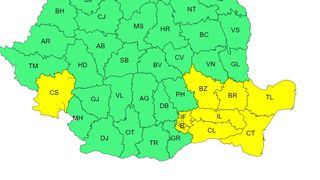 cod galben vijelii, avertisment anm  