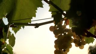 Ce faci &icirc;n weekend, cu Claudia Costandiș. Petrecere ca &icirc;n Toscana