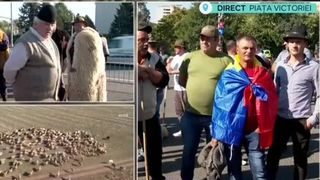 VIDEO Ciobanii ocupă Piața Victoriei! De ce protestează?