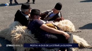VIDEO Protestul ciobanilor &icirc;n Capitală. Pesta i-a adus de la st&acirc;nă la Guvern