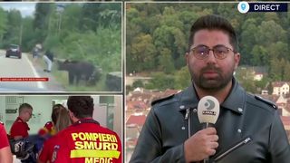 VIDEO Copil rănit de urs pe Transfăgărășan! Cum se simte băiatul?