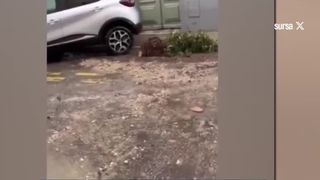 VIDEO Perla Rivierei Franceze cotropită de ape. Primarul orașului Cannes acuză serviciul meteo local