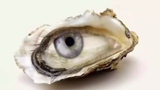 Ce vezi prima dată &icirc;n imagine