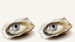 TEST. Ești norocos sau ghinionist? Ce vezi prima dată în imagine îți dă răspunsul la întrebare