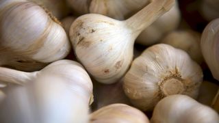 ceapa, usturoi, coji legume 