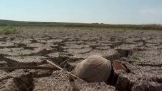 VIDEO Delta Neajlovului a secat! Debitul a scăzut atât de mult încât acum arată mai degrabă ca un pârâu