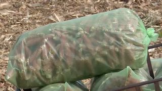 VIDEO Seceta le răpește oamenilor chiar și cocenii pe care îi folosesc să se încălzească pe timp de iarnă 