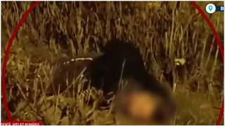 "Fata se temea, avea frică în ea" S-a sinucis la câteva luni după ce și-a omorât soția cu sânge rece, în fața fiicei. Bărbatul s-a spânzurat în închisoare, după mai multe tentative