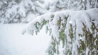 Vine iarna în România! Unde va ninge în weekend