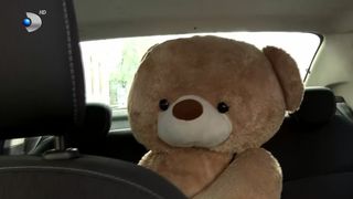 Gogu, un altfel de pasager