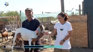 VIDEO Au dat viața de la oraș pe traiul la țară