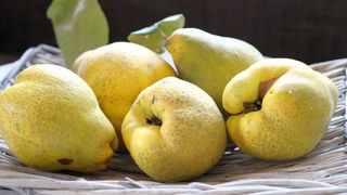 Gem de gutui - rețetă