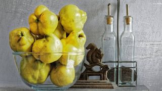 Gem de gutui - rețetă