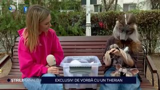 VIDEO EXCLUSIV- De vorbă cu un therian! V-ați &icirc;ntrebat vreodată ce animal ați fost &icirc;ntr-o viață anterioară?&nbsp;