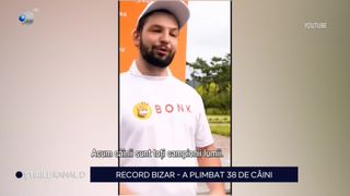VIDEO El este bărbatul care a intrat în cartea recordurilor pentru că a plimbat 30 de câini, simultan
