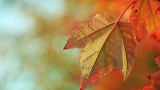 vreme toamna, octombrie, meteorologi 