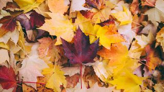 vreme toamna, octombrie, meteorologi 